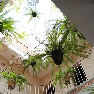 Casa de hóspedes Córdoba Sevilha